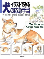楽天ブックス イラストでみる犬の応急手当 安川 明男 本