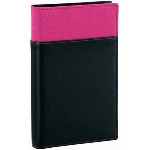 CC tBt@C   sN WBF100P tB|Pbg i(Stationary)j