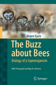 The Buzz about Bees: Biology of a Superorganism BUZZ ABT BEES 2008 CORR 2ND PR [ Jurgen Tautz ]