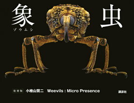 象虫　Weevils：Micro　Presence　復刻版 [ 小檜山 賢二 ]