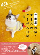 二本足の猫・エースのごきげん日和 [ 新井かおり（むすびより） ]