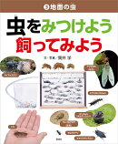 地面の虫