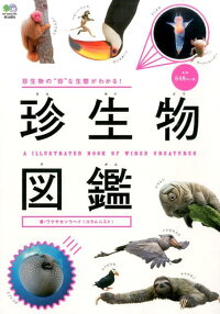 珍生物図鑑　珍生物の”珍”な生態がわかる！　（［バラエティ］）