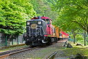嵯峨野観光鉄道トロッコ列車6両セット 【6134】 (鉄道模型)