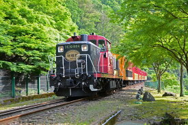 嵯峨野観光鉄道トロッコ列車6両セット 【6134】 (鉄道模型)