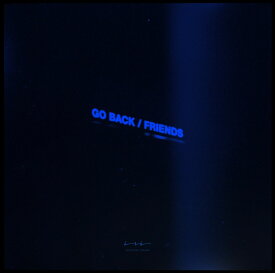 Go back/friends【アナログ盤】 [ iri ]