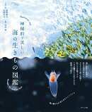 神秘的で美しい海の生きもの図鑑