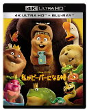 私がビーバーになる時 4K UHD ＋ ブルーレイ セット【4K ULTRA HD】