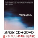 【楽天ブックス限定先着特典】TERMiNaL (通常盤 CD＋2DVD)(チケットホルダー) [ Da-iCE ]