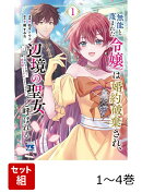 無能と蔑まれた令嬢は婚約破棄され、辺境の聖女と呼ばれる 1〜4巻セット