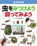 水辺の虫