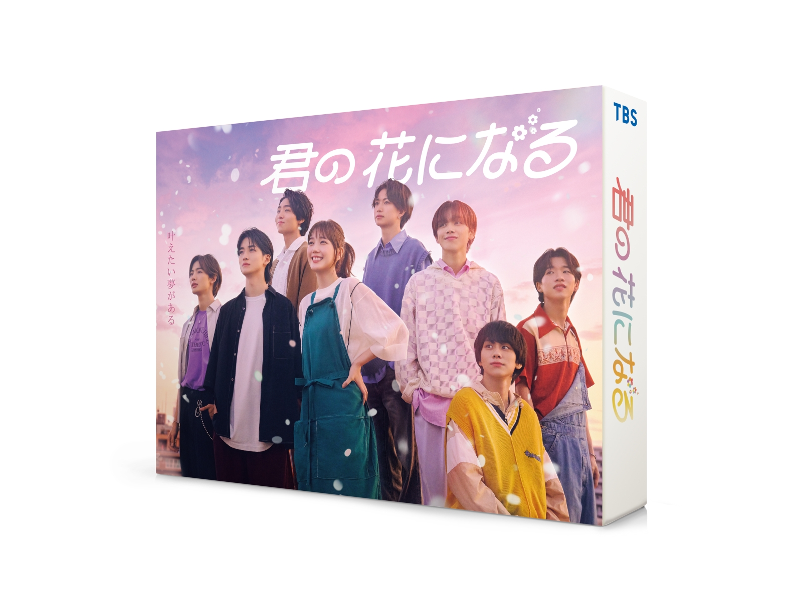 楽天ブックス: 君の花になる DVD-BOX - 本田翼 - 4571519917449 : DVD