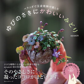 ベランダで豆盆栽鉢で楽しむ　ゆびのさきにかわいいみどり [ ayumitt ]