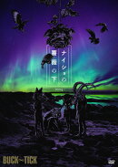 ナイショの薔薇の下 2024(DVD通常盤)