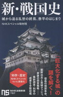 新・戦国史