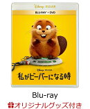 【楽天ブックス限定グッズ+楽天ブックス限定先着特典】私がビーバーになる時 ブルーレイ+DVD セット【Blu-ray】(ラ…