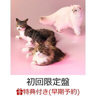 【楽天ブックス限定先着特典+早期予約特典】【クレジットカード決済限定】【シリアル対象】cats (初回限…