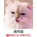 【楽天ブックス限定先着特典+早期予約特典】【クレジットカード決済限定】【シリアル対象】cats(アクリルキーホルダー…