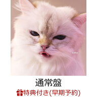 【楽天ブックス限定先着特典+早期予約特典】【クレジットカード決済限定】【シリアル対象】cats(アクリル…