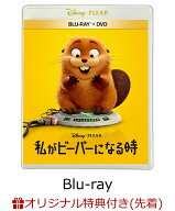 【楽天ブックス限定先着特典】私がビーバーになる時 ブルーレイ+DVD セット【Blu-ray】(アクリルキーホル…