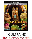 【楽天ブックス限定グッズ+楽天ブックス限定先着特典】私がビーバーになる時 4K UHD ＋ ブルーレイ セット【4K ULTR…