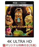 【楽天ブックス限定先着特典】私がビーバーになる時 4K UHD ＋ ブルーレイ セット【4K ULTRA HD】(アクリルキーホル…