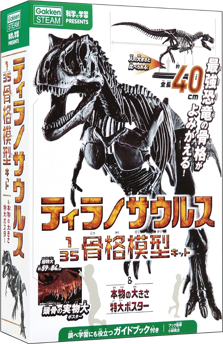 ティラノサウルス1／35骨格模型キット＆本物の大きさ特大ポスター（科学と学習PRESENTS）[小林快次]