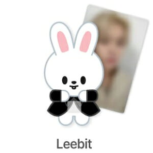 �y�撅���T�z[DO IT] SKZOO FIGURE (CLIMBING VER.) (Leebit Ver.)(�t�H�g�J�[�h1��(8�탉���_��1��)) [ Stray Kids ]