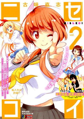 �˥�������2��