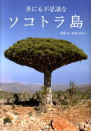 世にも不思議なソコトラ島