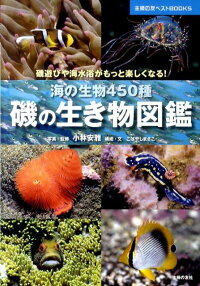 磯の生き物図鑑 海の生物450種 磯遊びや海水浴がもっと楽しくなる 小林安雅 9784072777763 本 楽天ブックス
