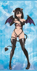 ストライク・ザ・ブラッド FINAL　描き下ろし等身大タペストリー【小悪魔ver.】1姫柊雪菜