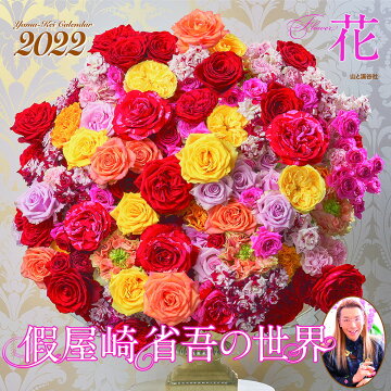 本 写真集 タレント 週間ランキング 動物 自然 楽天ブックス 本 写真集 タレント 週間ランキング 動物 自然 楽天ブックス