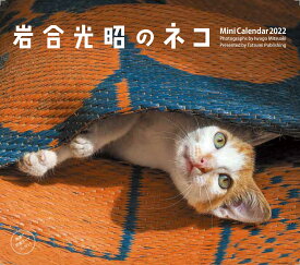 楽天市場 岩合 光昭の通販