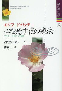 Gh[hEob`@S₷Ԃ̗Ö@ t[EZs[̃ZJC iq[OEubNXj [ mEEB[NX ]