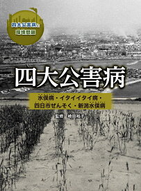 四大公害病　 水俣病・イタイイタイ病・四日市ぜんそく・新潟水俣病 （四大公害病と環境問題） [ 崎田裕子 ]