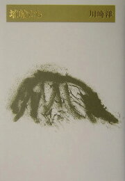 楽天ブックス: 宮澤賢治《春と修羅 第二集》研究 - 木村東吉  