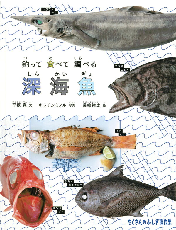 楽天ブックス: 釣って 食べて 調べる 深海魚 - 平坂寛 - 9784834087840 