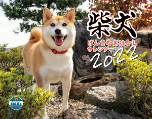 2022J_[ Č񂫂 ͂ȂJ_[ [ Shi-BayV[ozҏW ]