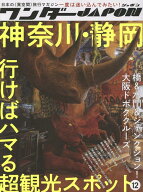 ワンダーJAPON （12）