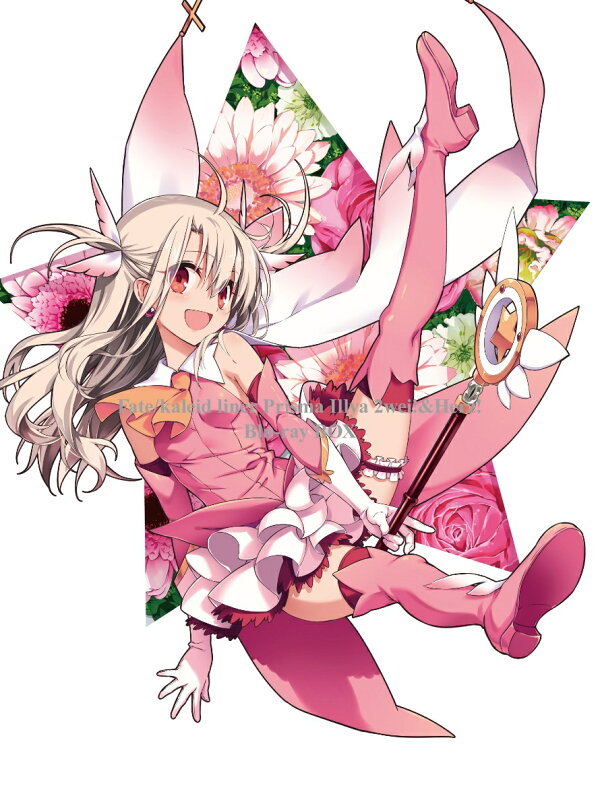 楽天ブックス: Fate/kaleid liner プリズマ☆イリヤ ツヴァイ 