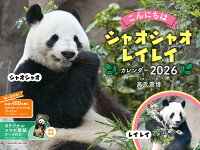 2026 ����ˤ��ϥ��㥪���㥪���쥤�쥤��������