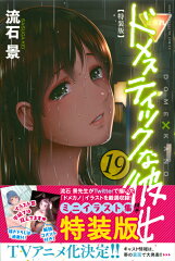 ドメスティックな彼女（19）特装版