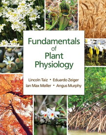 Fundamentals of Plant Physiology FUNDAMENTALS OF PLANT PHYSIOLO [ Lincoln Taiz ]