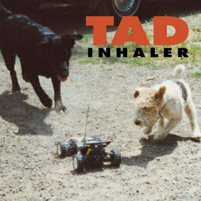 楽天ブックス: 【輸入盤】Inhaler - Tad - 8718627237922 : CD