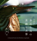 写真集 身近な鳥の素敵な世界