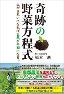 奇跡の野菜方程式 土がきれいになれば世界が平和になる [ 橋本進 ]