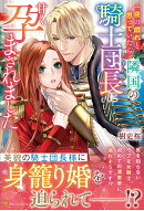 一夜の戯れと思っていたら、隣国の騎士団長に甘く孕まされました