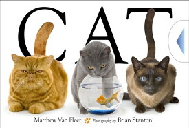 Cat CAT [ Matthew Van Fleet ]