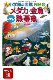 図鑑NEO　28巻セット